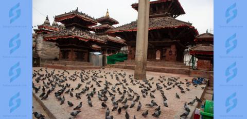 हनुमानढोका दरवार परिसर