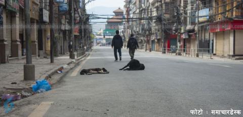 न्यूरोड गेटबाट जुद्ध शालिकको बाटो